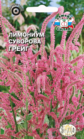 Семена лимониума Суворова Грейг розовая 0.05г/СеДеК