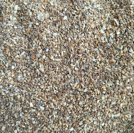 РАКУШКА МОРСКАЯ  калиброванная 1кг/КП