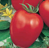 Семена томата Сердцевидный Консервный 0,1 г/белый пакет