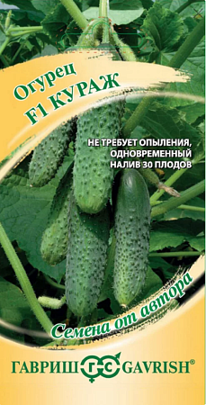 Семена огурца Кураж