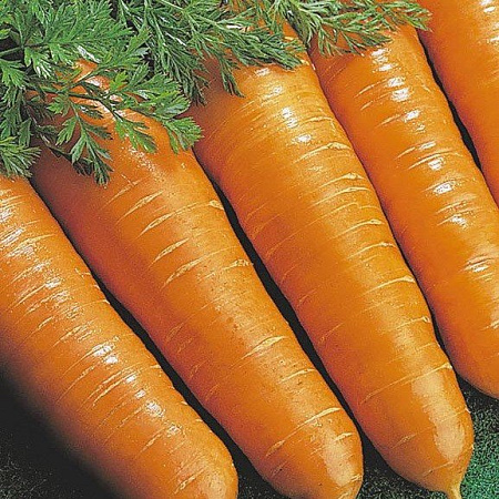 Семена моркови Витаминная белый пакет