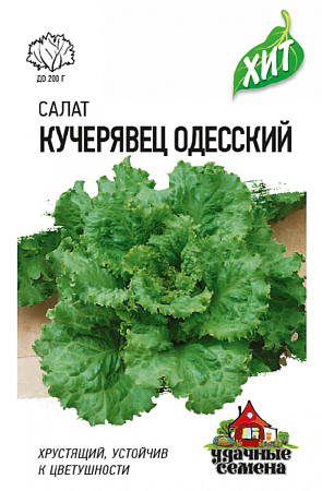 Семена салата Одесский Кучерявец Гавриш