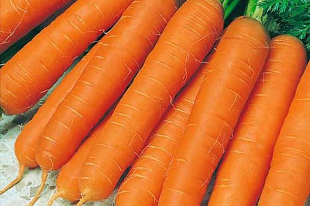 Семена моркови Нантская Без сердцевины белый пакет
