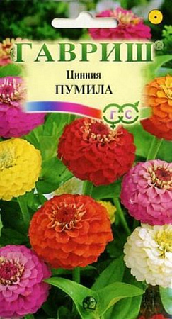 Семена циннии Пумила