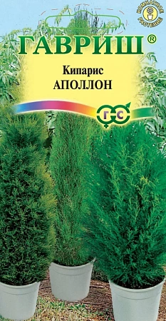 Семена кипариса Апполон вечно-зелен 0.1г
