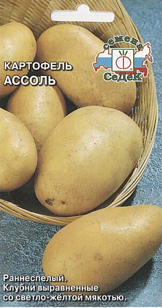 Купить семена картофеля ассоль