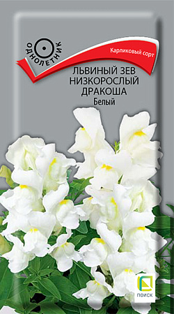 Семена львиного зева Дракоша Белый 0,02гр