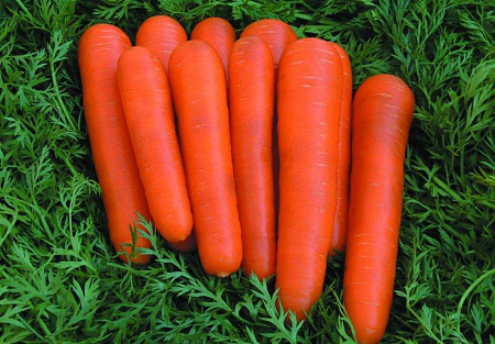 Семена моркови Детская Сладость белый пакет/Аэлита
