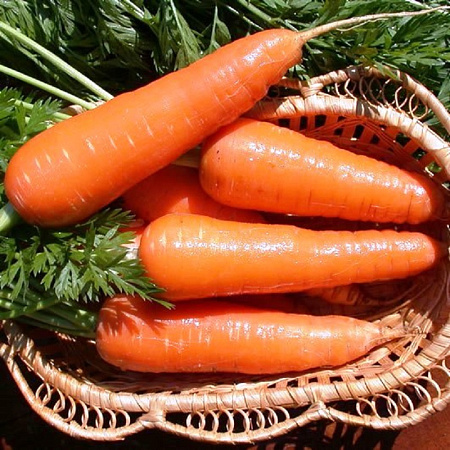 Семена моркови Московская зимняя 2г белый пакет