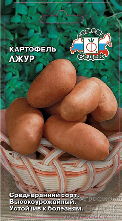Семена картофеля Ажур