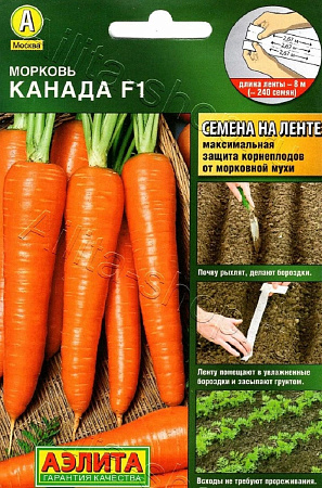 Семена моркови Канада лента