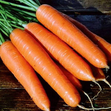 Семена моркови Роте Ризен Красный Великан 2г
