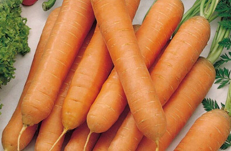 Семена моркови Тушон белый пакет