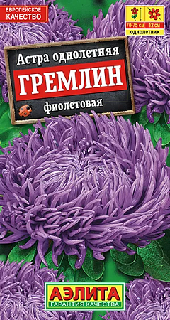 Семена астры Гремлин темно-фиолетовая 