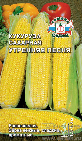 Семена кукурузы Утренняя Песня F1 4г/СЕДЕК