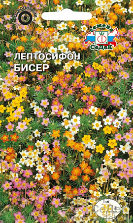 Семена лептосифона Бисер СеДеК