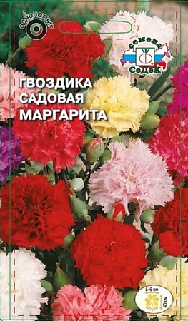 Семена гвоздики Маргарита СеДеК