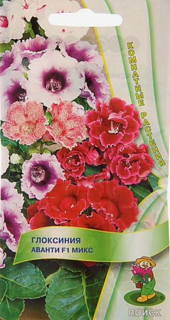 К.Цв. Глоксиния Аванти Микс 5шт/Поиск