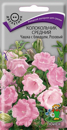Семена колокольчика Чашка с блюдцем розовый