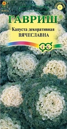 Семена капусты декоративной Вячеславна 0,1г