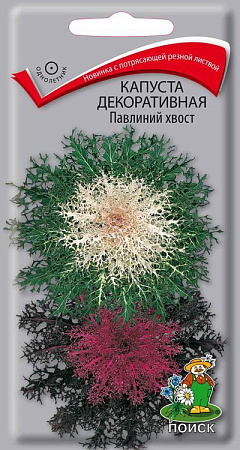 Семена капусты декоративной Павлиний хвост 