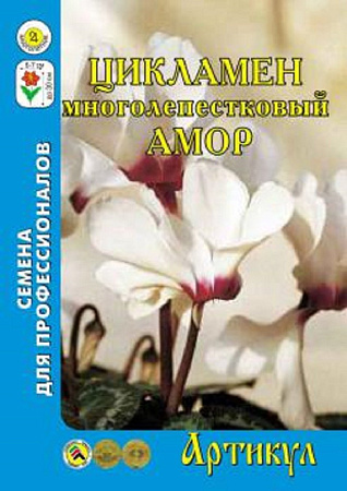 Семена цикламена Амор