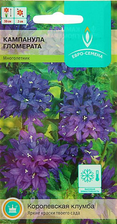 Семена кампанулы Гломерата 0,1г/Евро-Семена/