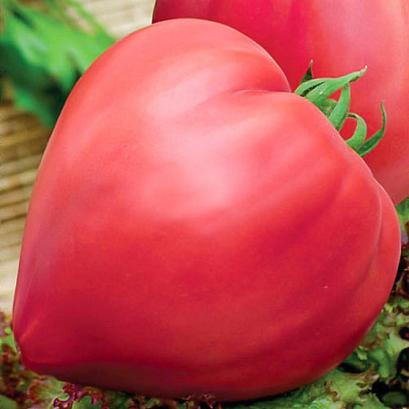 Семена томата Бычье Сердце 0,1г белый пакет