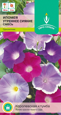 Семена ипомеи Утреннее Сияние Красная 0,2г/Евро-Семена/