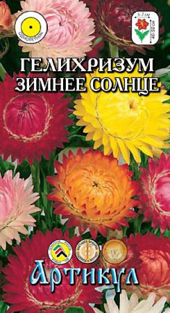 Семена гелихризума Зимнее Солнце