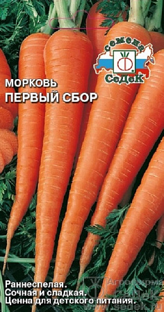 Семена моркови Первый Сбор