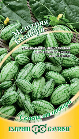 Семена мелотрии Колибри