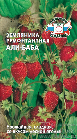 Семена земляники Али-Баба 0,04г
