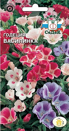 Семена годеции Василинка