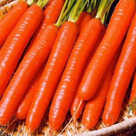 Семена моркови Витаминная 6  белый пакет