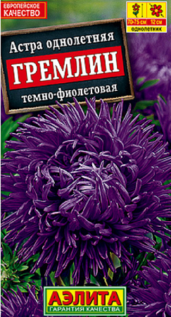 Семена астры Гремлин фиолетовая 