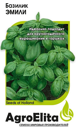 Семена базилика Эмили (Нидерланды)