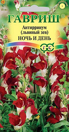Семена антирринум (Львиный зев)  Ночь и день