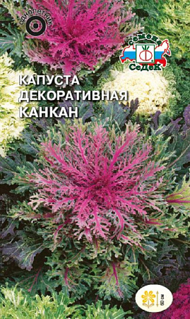 Семена капусты декоративной Канкан 