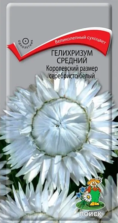 Семена гелихризума Королевский размер серебресто-белый 0,1г/Поиск/однолет, h=100, сухоцвет