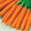 Семена моркови Осенний Король 2г бп