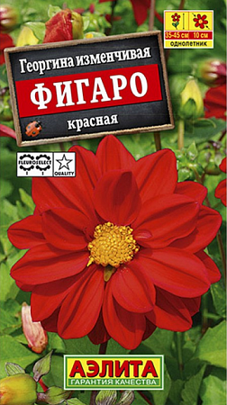 Семена георгины Фигаро Красная