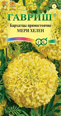 Семена бархатцев Мери Хелен