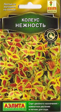 Семена колеуса Блюме Нежность 5шт