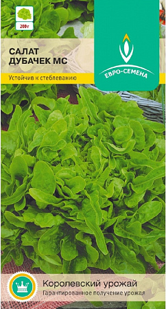 Семена салата Дубачек МС