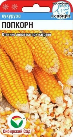 Семена кукурузы Попкорн  10шт