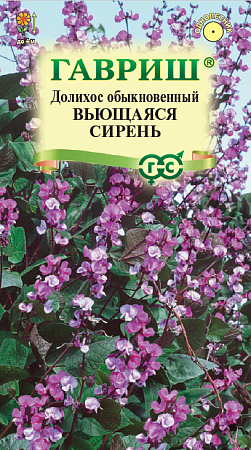 Семена долихоса Вьющаяся сирень 
