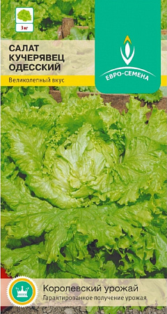 Семена салата Одесский Кучерявец