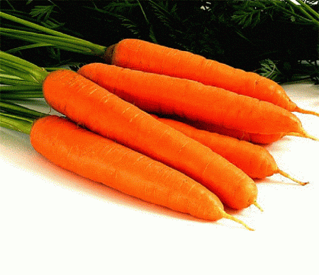 Семена моркови Дарина белый пакет