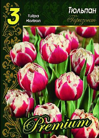 Луковицы тюльпана Горизонт 3 шт